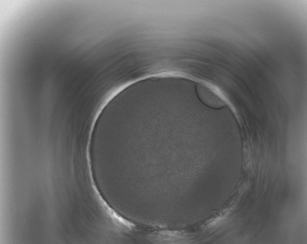 X0000062150959200512121304