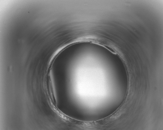 X0000062150960200512121304