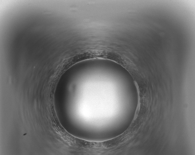 X0000062150961200512121303