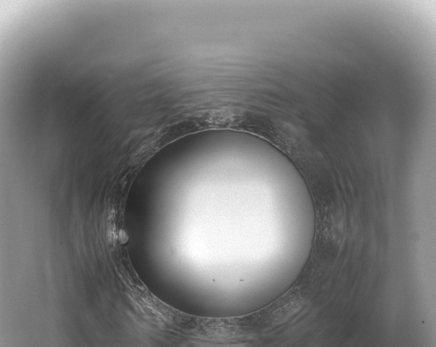 X0000062150962200512121303