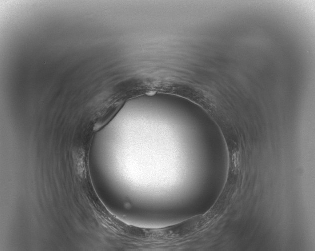 X0000062150963200512121303