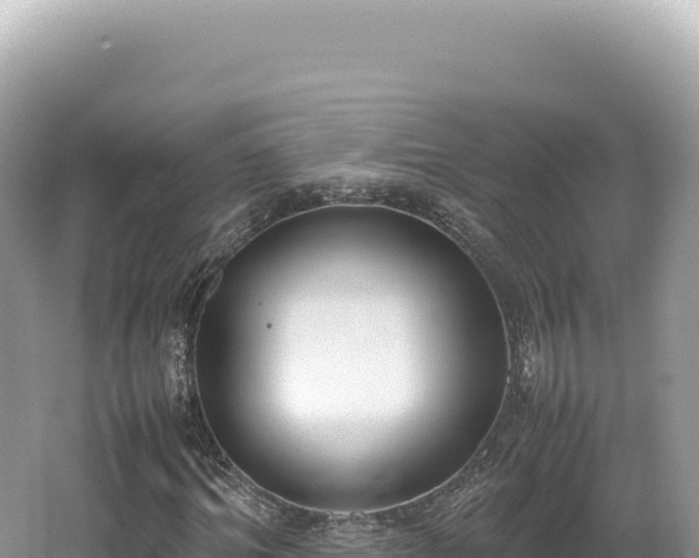 X0000062150964200512121303