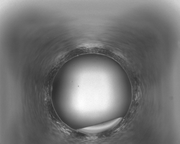 X0000062150965200512121303