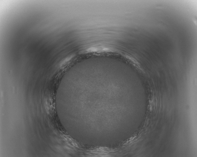 X0000062150966200512121303