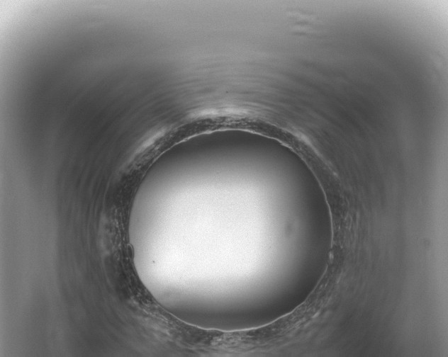 X0000062150967200512121303