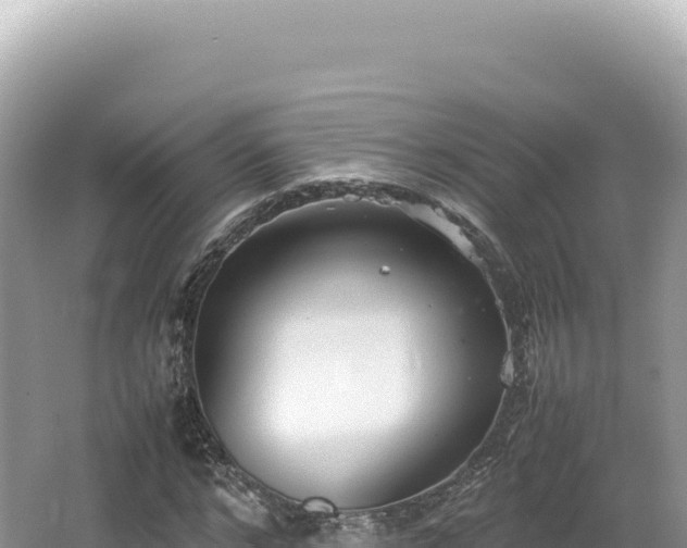 X0000062150968200512121303