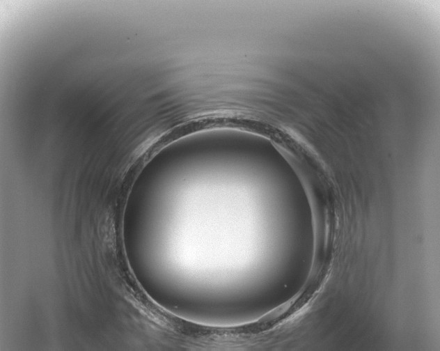 X0000062150969200512121303