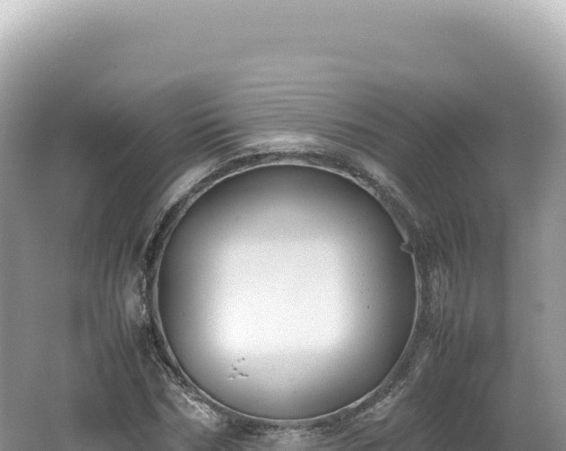 X0000062150970200512121303