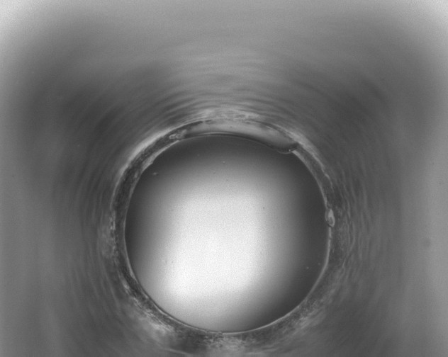 X0000062150971200512121303