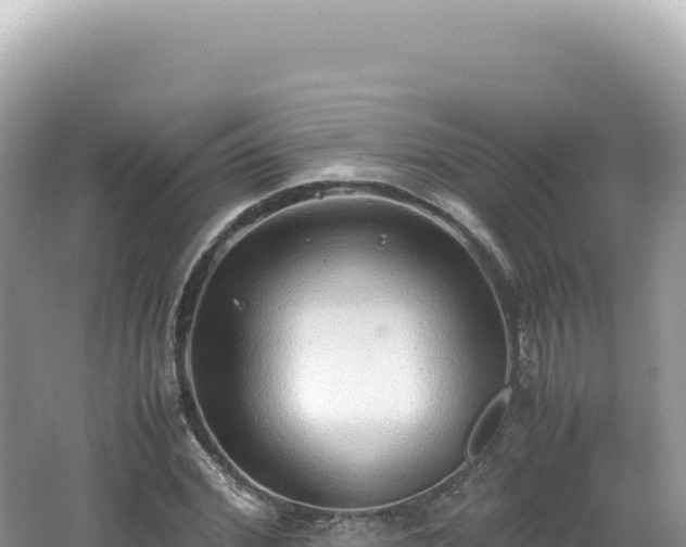 X0000062150972200512121303