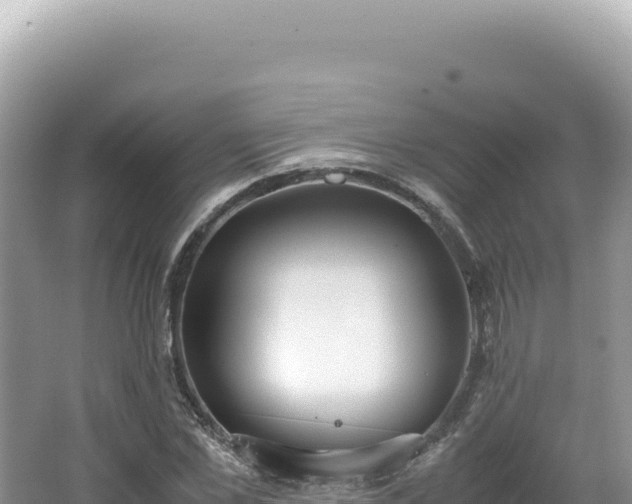 X0000062150973200512121303