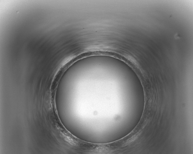 X0000062150974200512121303