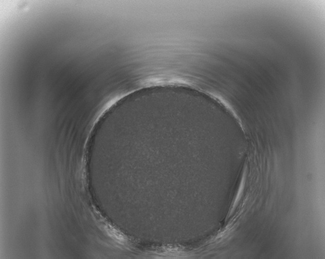 X0000062150975200512121303