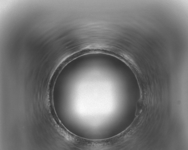 X0000062150976200512121303