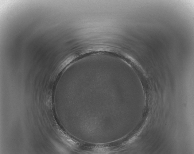 X0000062150977200512121303