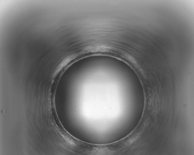 X0000062150978200512121303