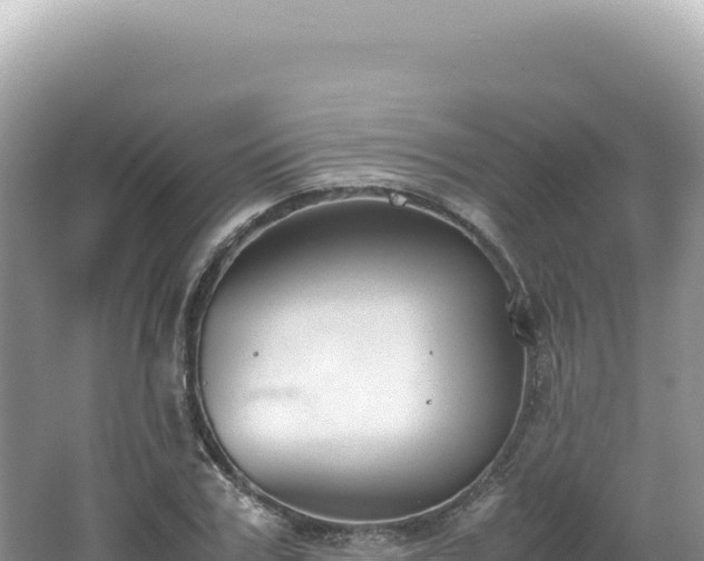 X0000062150979200512121303