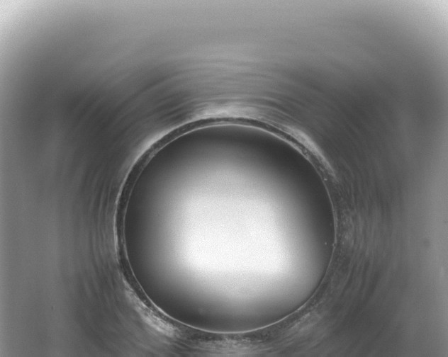 X0000062150980200512121303