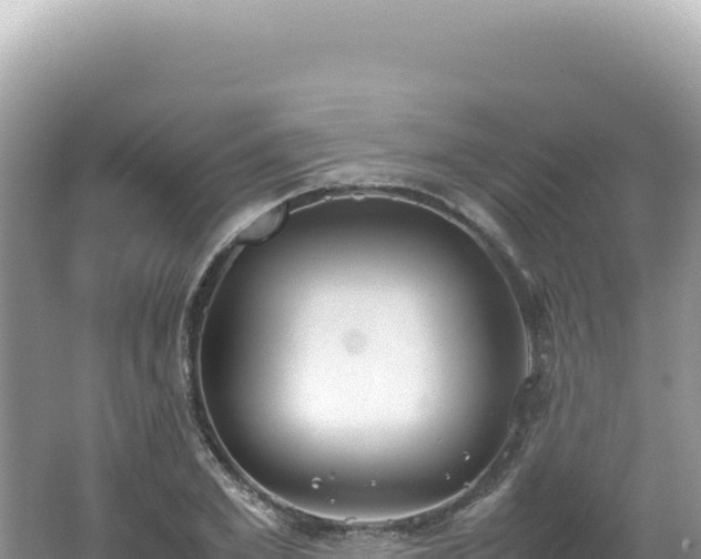 X0000062150981200512121303