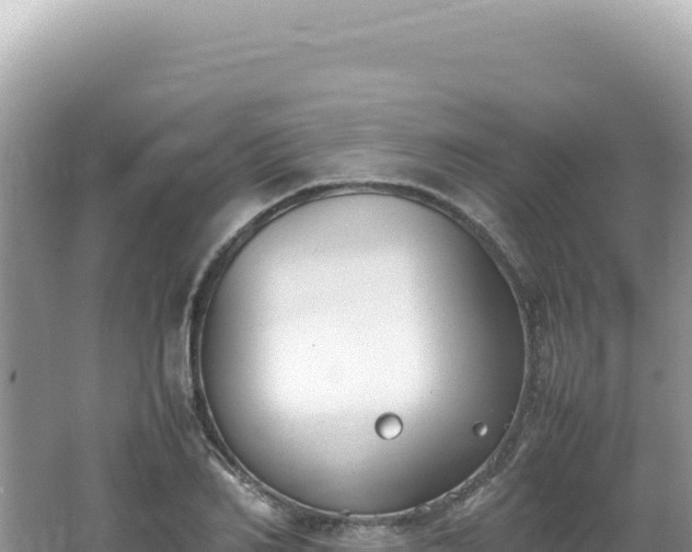 X0000062150982200512121303