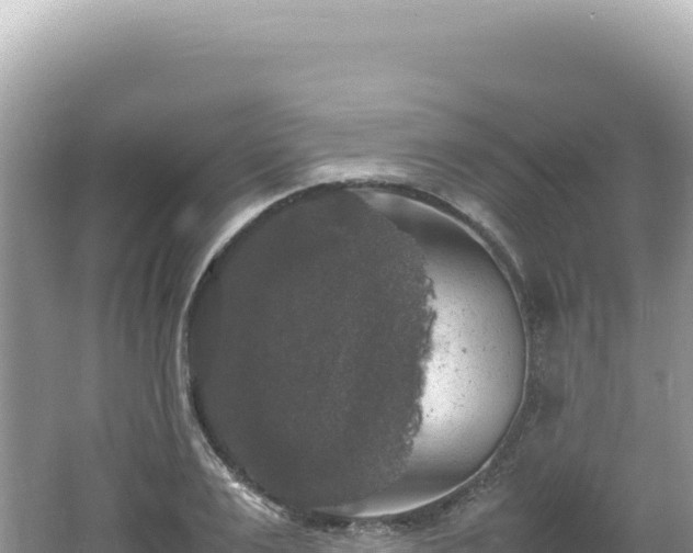 X0000062150983200512121303