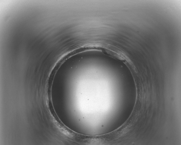 X0000062150984200512121303