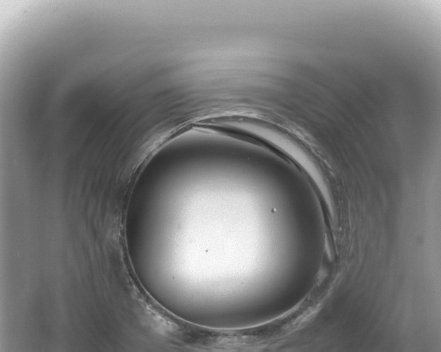 X0000062150985200512121303