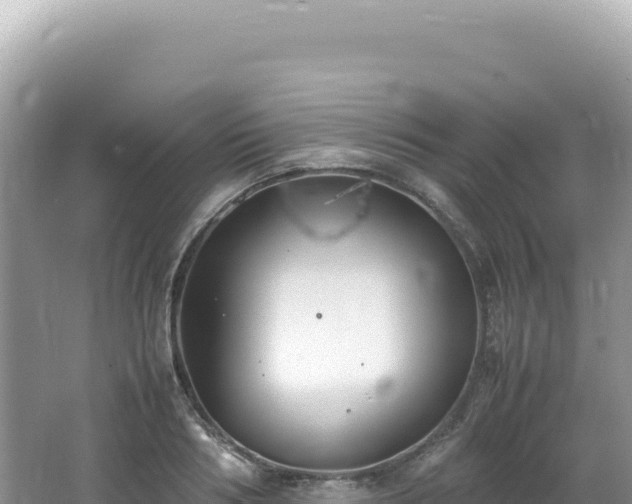 X0000062150986200512121303