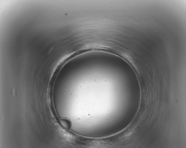 X0000062150987200512121303