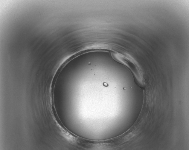 X0000062150988200512121303