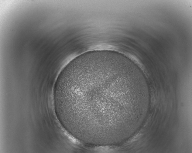 X0000062150990200512121303