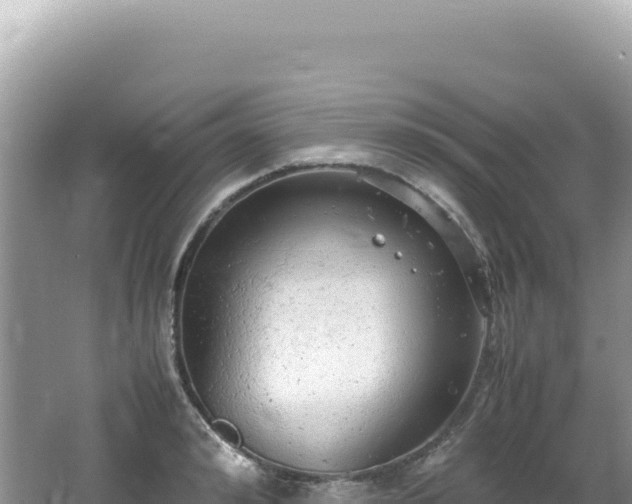 X0000062150992200512121303