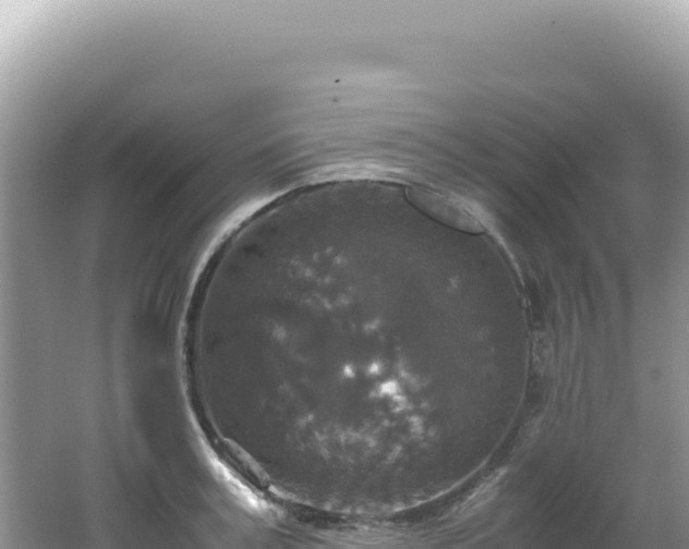 X0000062150995200512121303