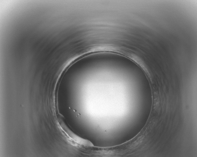 X0000062150996200512121303