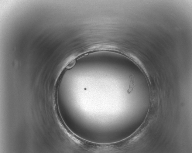 X0000062150997200512121303