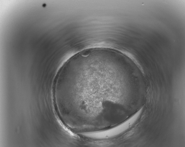 X0000062150998200512121303