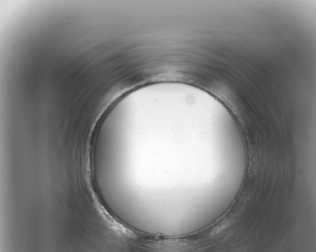 X0000062151000200512121303