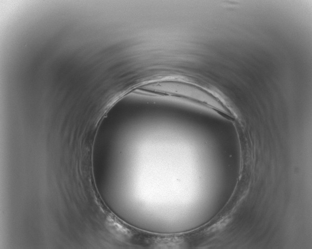 X0000062151001200512121303