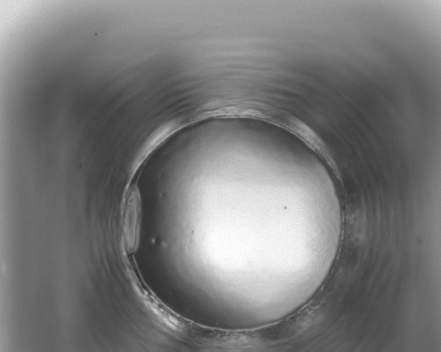 X0000062151002200512121303