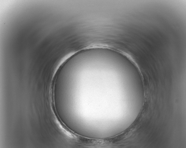 X0000062151003200512121302