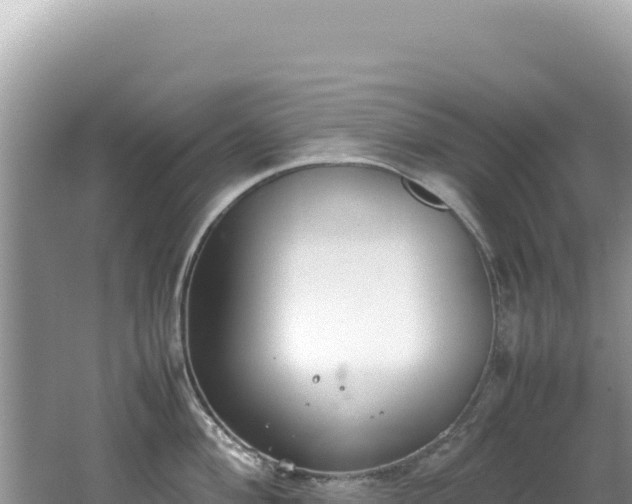 X0000062151004200512121302