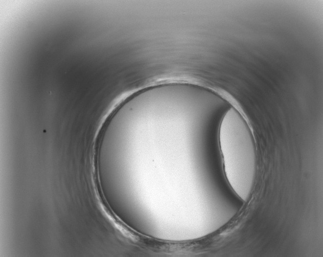 X0000062151005200512121302