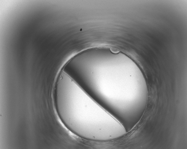 X0000062151007200512121302