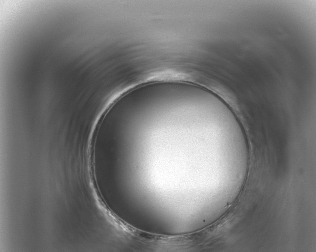 X0000062151008200512121302