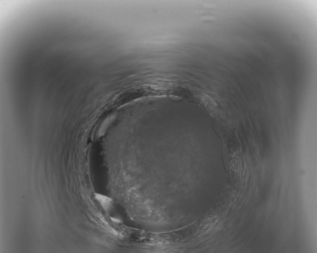 X0000062151009200512121302