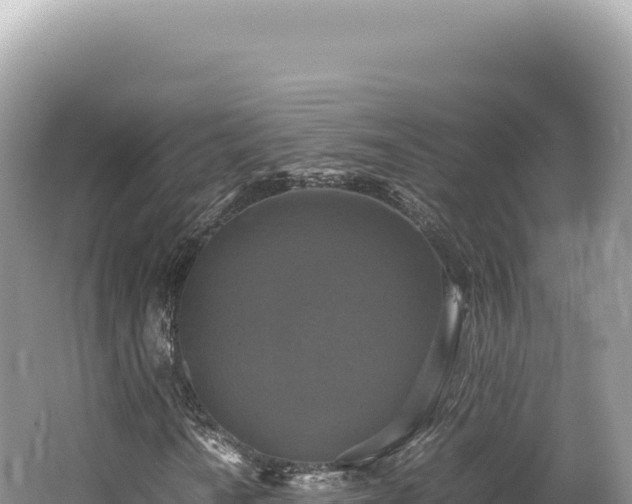 X0000062151010200512121302