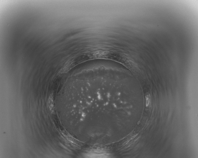 X0000062151011200512121302