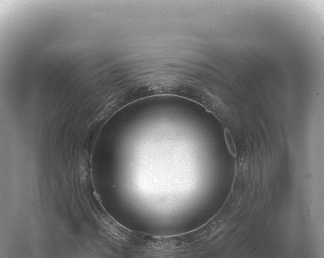 X0000062151012200512121302