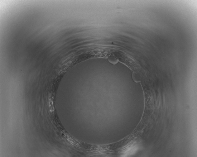 X0000062151013200512121302