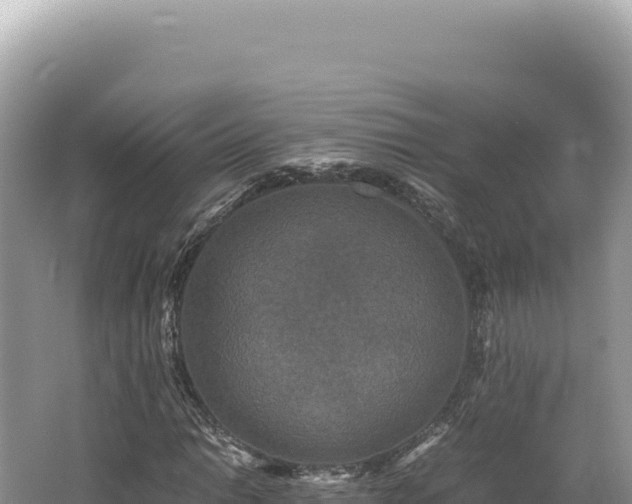 X0000062151014200512121302